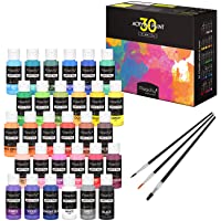 Magicfly Juego de 30 colores acrílicos- cada bote de pintura acrílica de 59 ml- con 3 pinceles adicionales- ideal para…